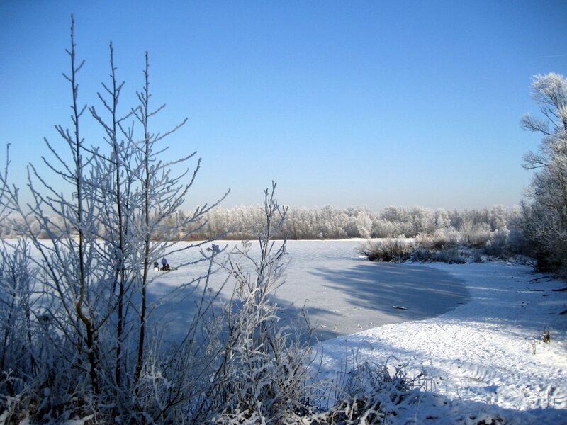 Frozen Lake with Ice Skaters