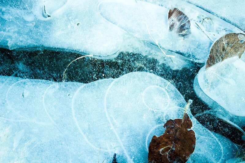 Frozen Lake with Leaves — Blue