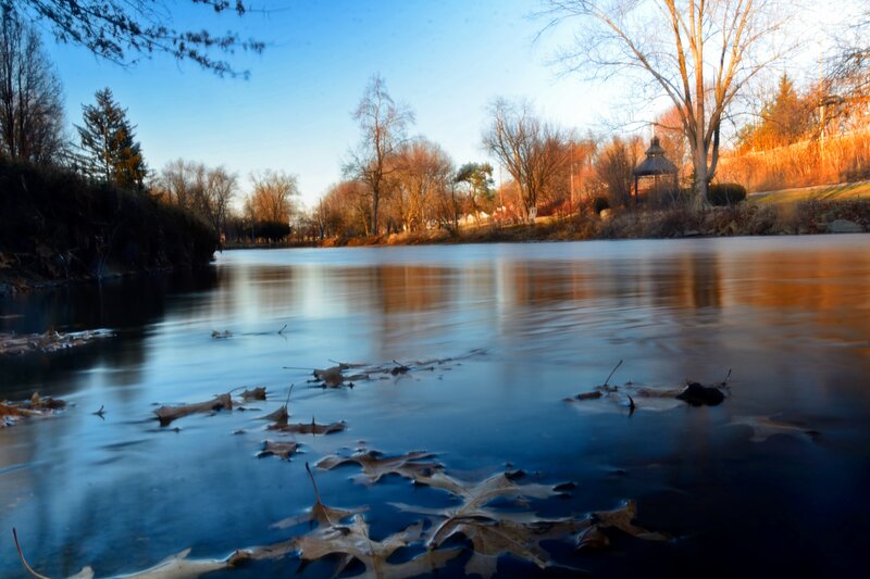 Frozen Lake with Leaves