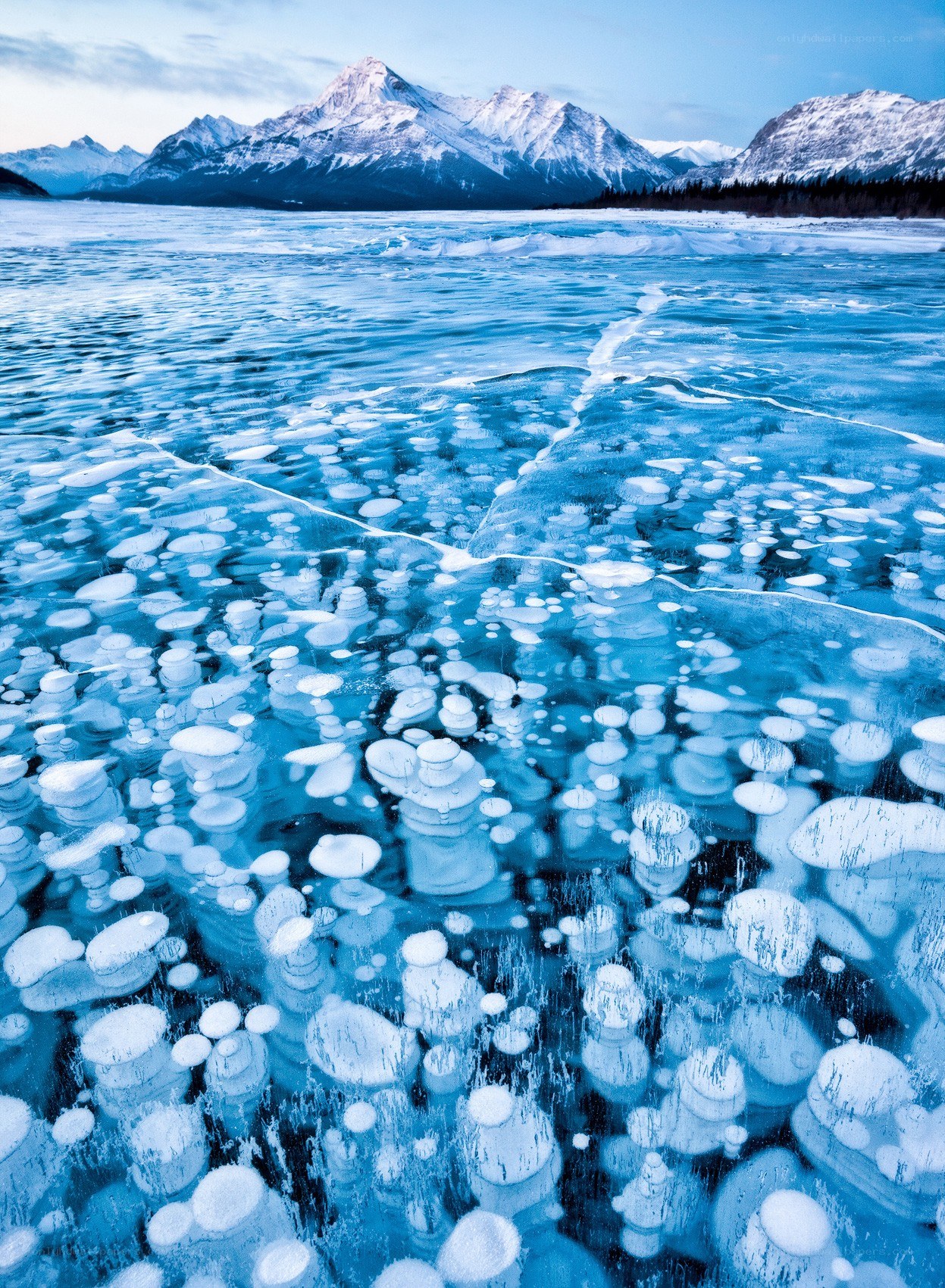 Frozen lake with methane bubbles