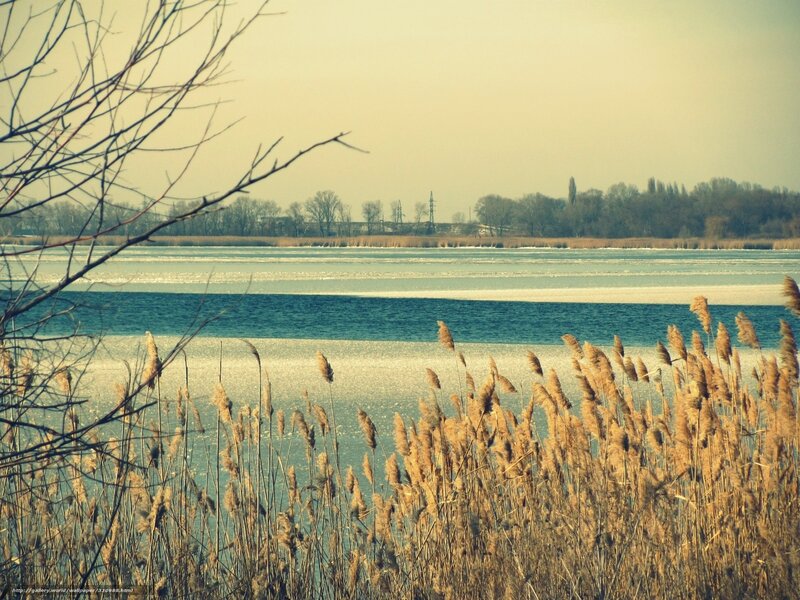 Frozen Lake with Reeds — Blue, Calm
