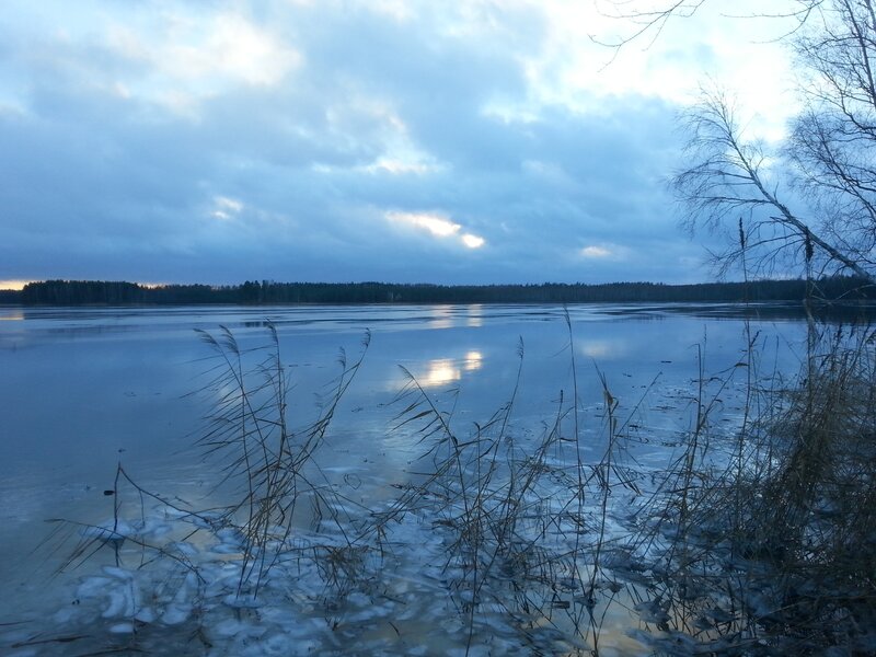 Frozen Lake with Reeds — Blue, Calm, Winter