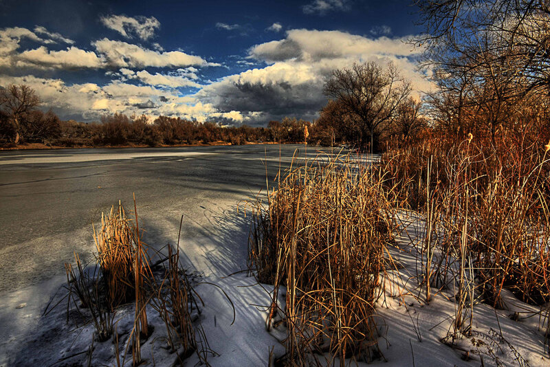 Frozen Lake with Reeds — Blue