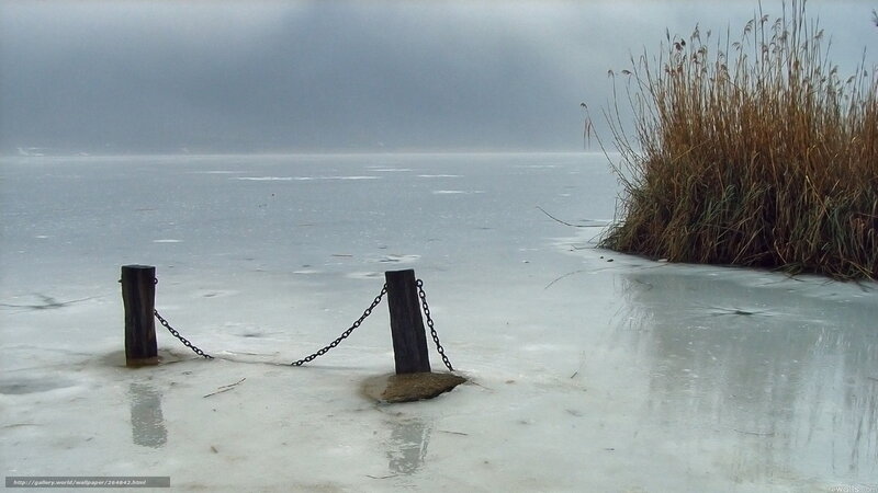 Frozen Lake with Reeds — Gray
