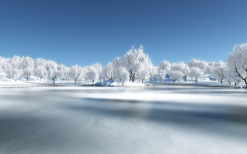 frozen lake with snow-covered trees