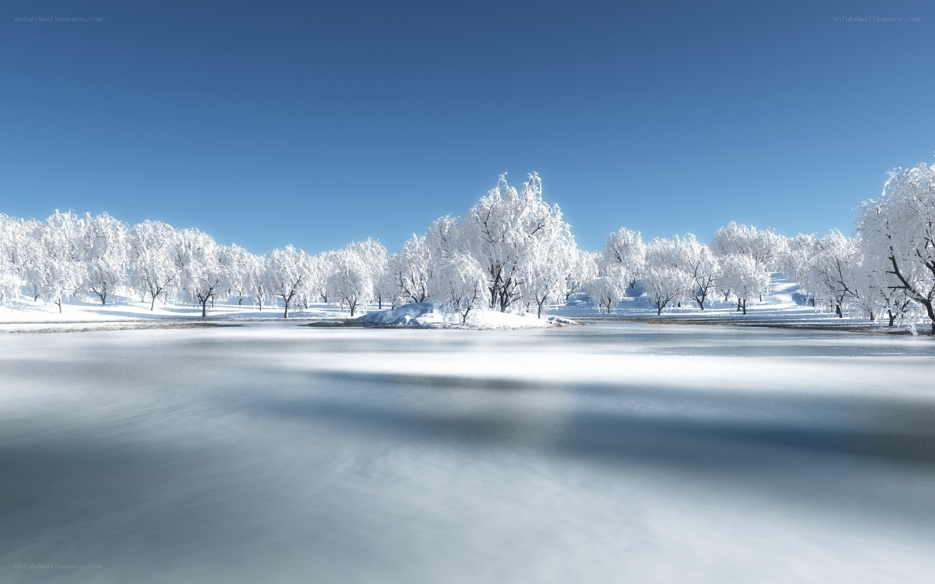 frozen lake with snow-covered trees