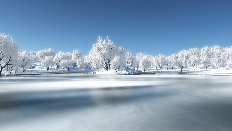 frozen lake with snow-covered trees
