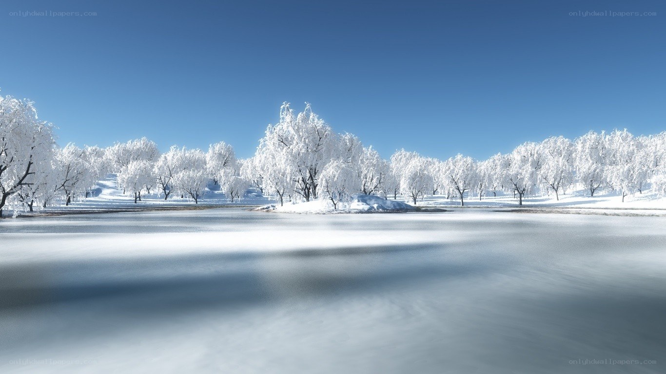 frozen lake with snow-covered trees