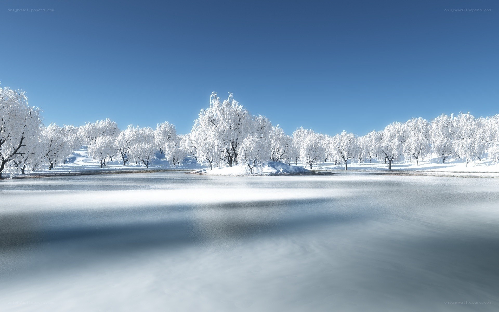 Frozen lake with snow-covered trees