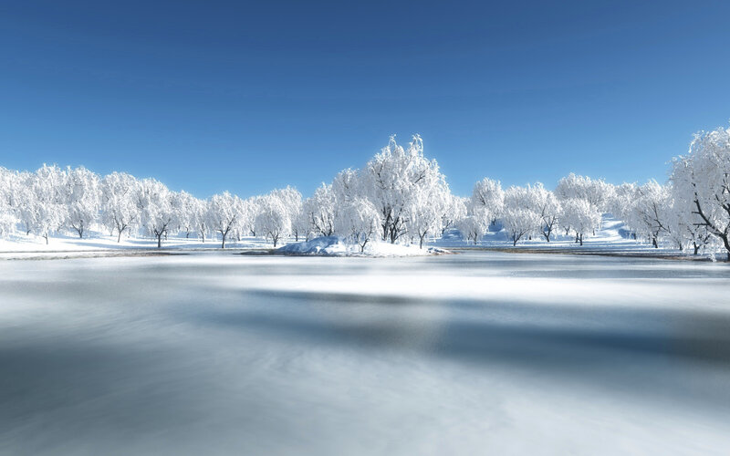 Frozen Lake with Snow-covered Trees — Blue, Serene