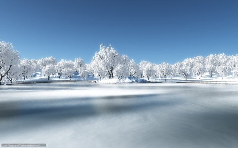 Frozen Lake with Snow-covered Trees — Blue, Serene, Winter