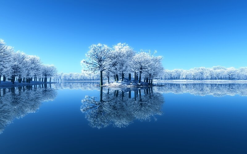 frozen lake with snow-covered trees