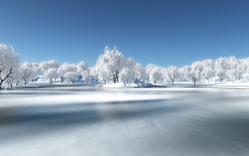 Frozen Lake with Snow-covered Trees — White, Serene, Winter