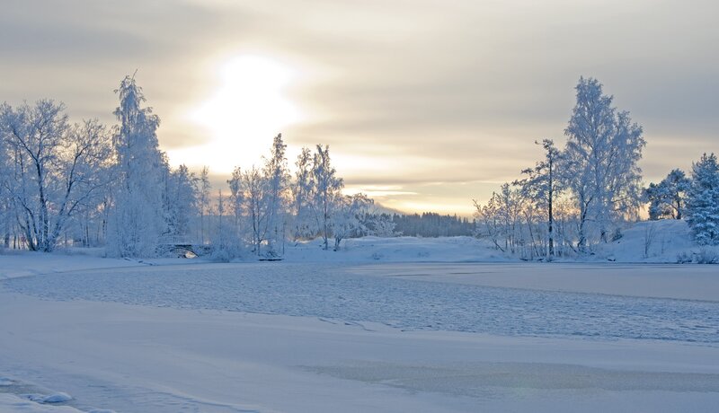 Frozen Lake with Snow-covered Trees — White