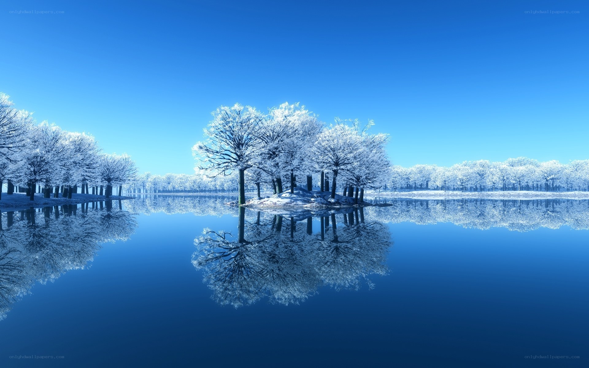frozen lake with snow-covered trees