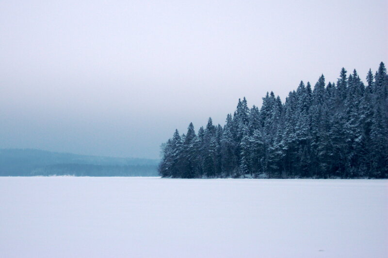 frozen lake with snowy forest