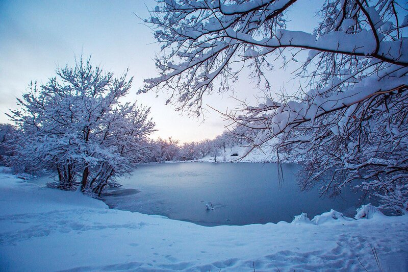 Frozen Lake with Swan