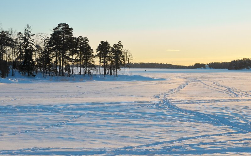 Frozen Lake with Tracks — White, Serene