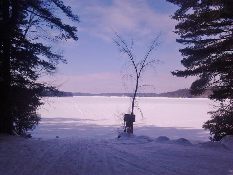 Frozen Lake with Tracks — White
