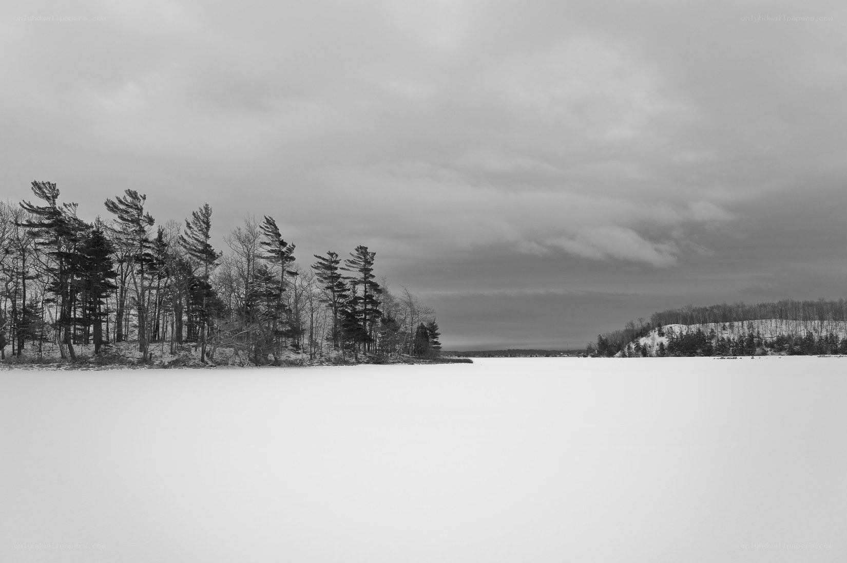 frozen lake with trees