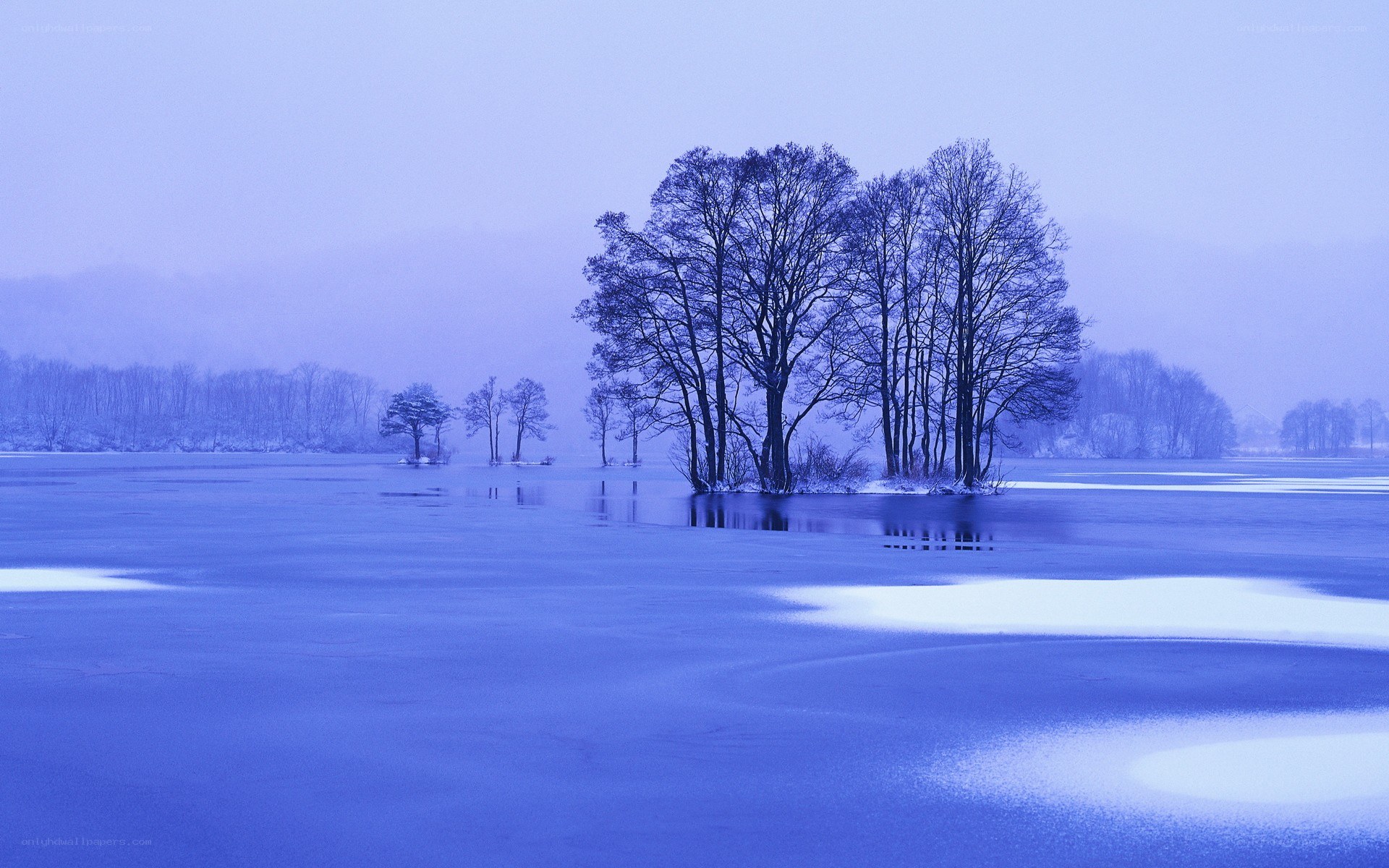 Frozen lake with trees