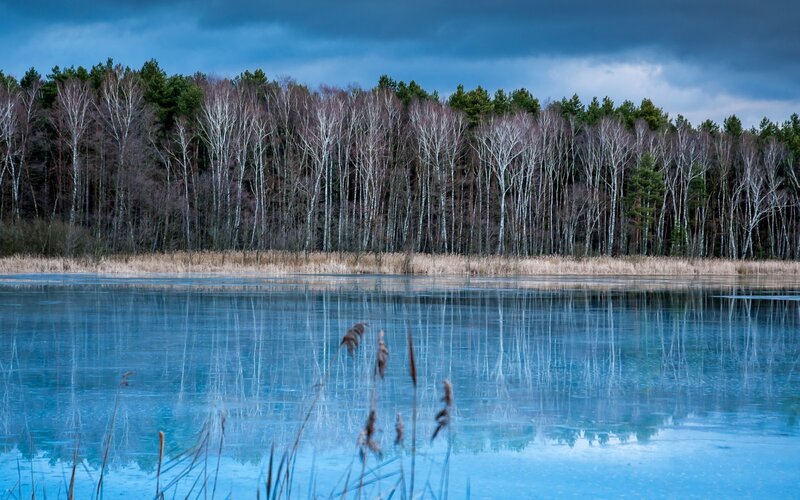 Frozen Lake with Trees — Blue, Dramatic