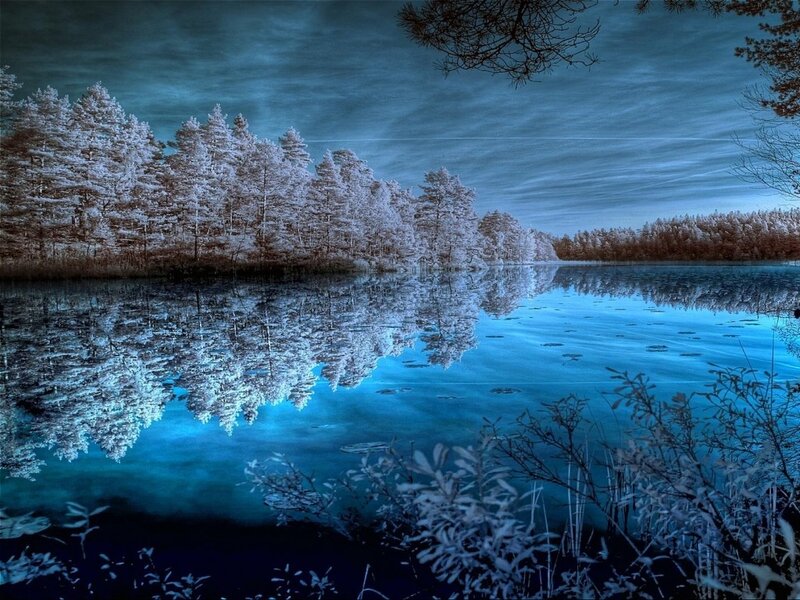 Frozen Lake with Trees — Blue, Serene, Winter, Photograph, Reflection, Sky