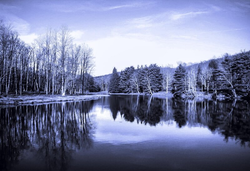 Frozen Lake with Trees — Blue, Serene, Winter, Photograph, Reflection