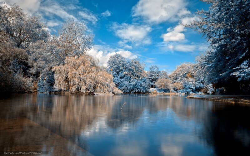 Frozen Lake with Trees — Blue, Serene, Winter, Photograph, Sky, Reflection