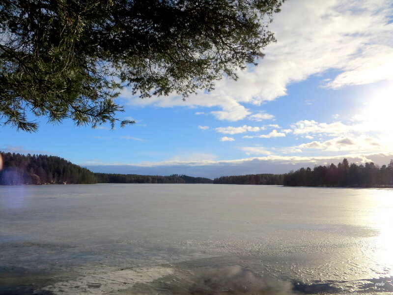 Frozen Lake with Trees — Blue, Serene, Winter, Photograph, Sky