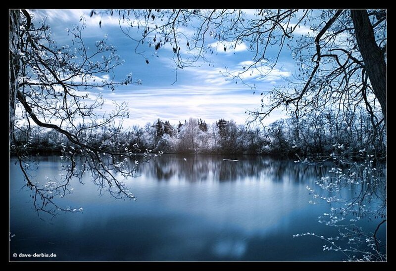 Frozen Lake with Trees — Blue, Serene, Winter