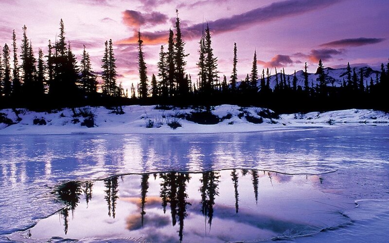Frozen Lake with Trees — Purple, Serene, Sunset