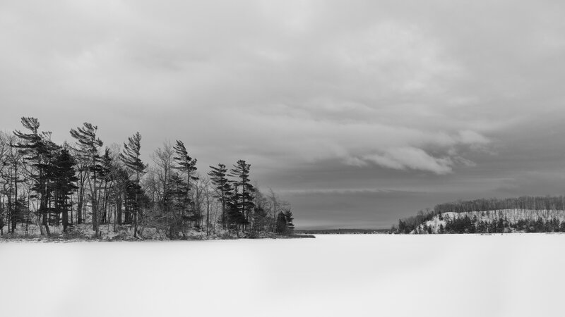frozen lake with trees