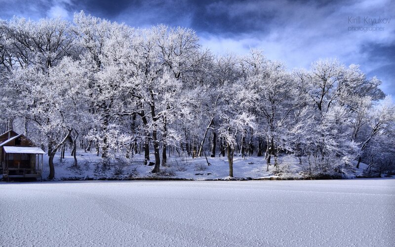Frozen Lake with Trees — White, Serene, Winter