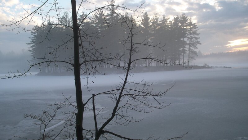 Frozen Lake with Trees — White