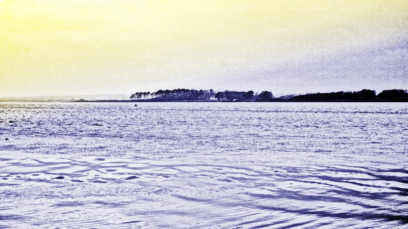 Frozen Lake with Trees — Yellow