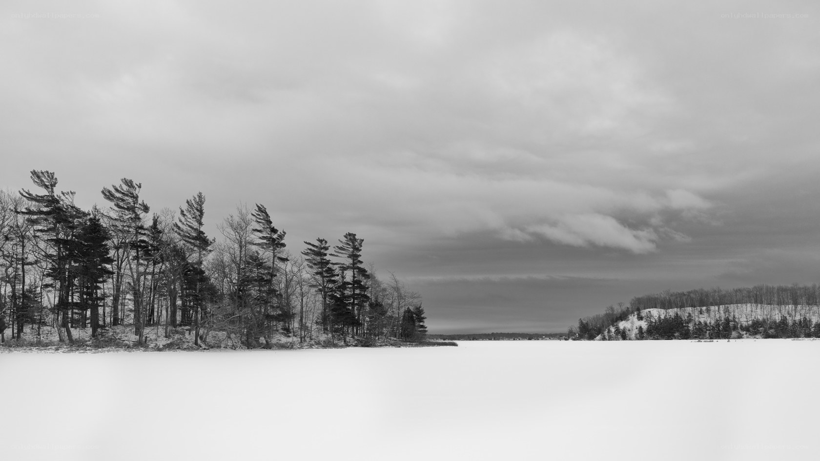 frozen lake with trees