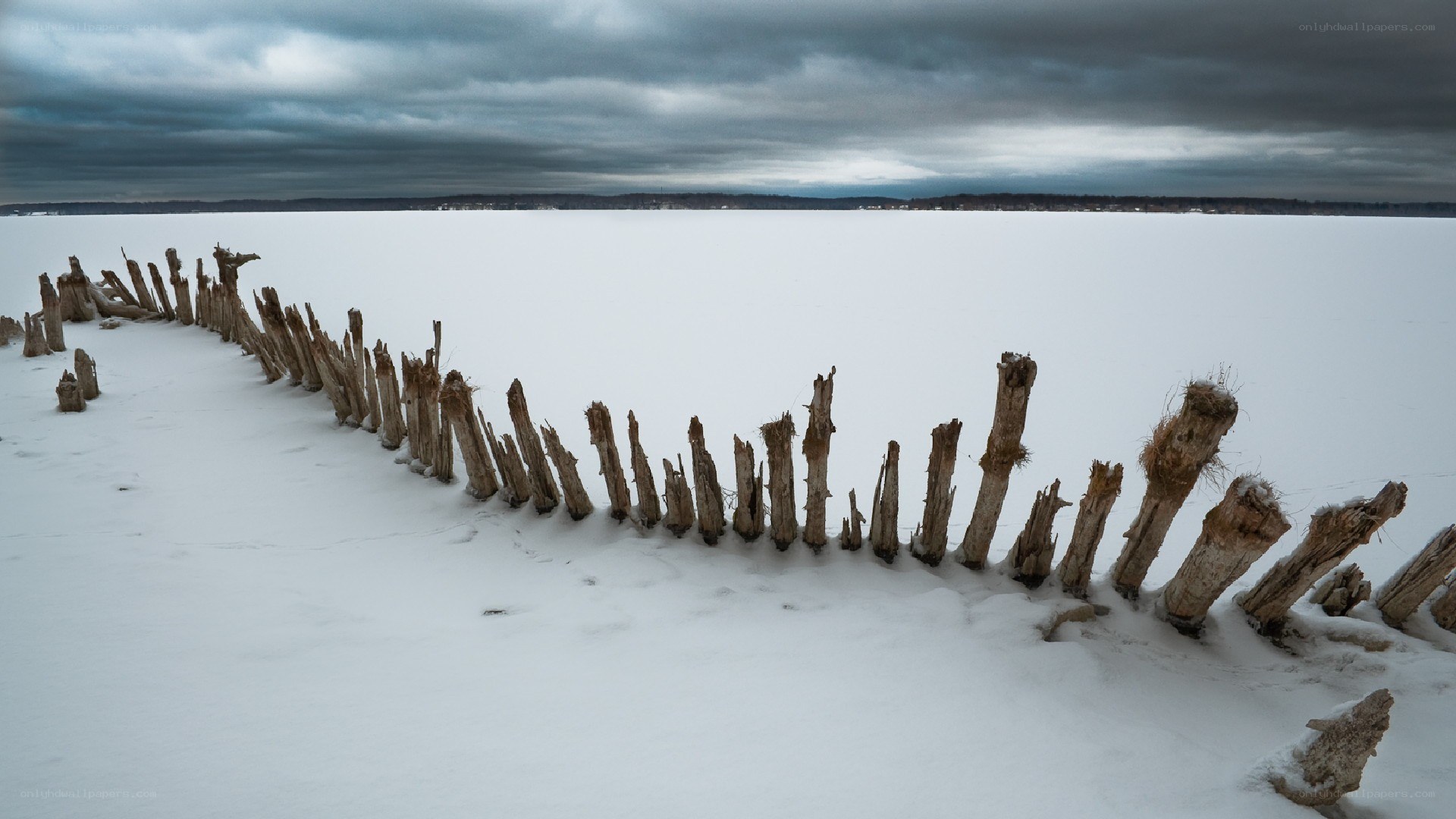 Frozen lake with wooden posts