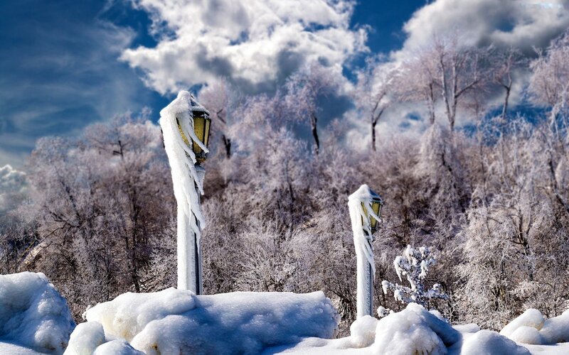 Frozen Lampposts in Snow