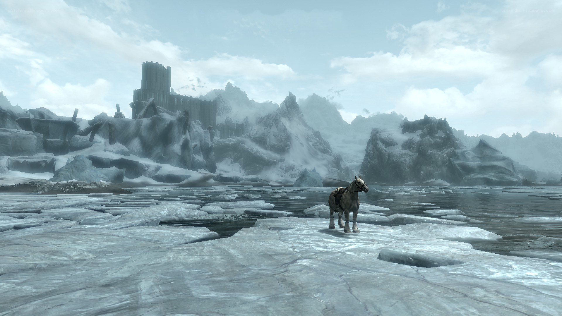 frozen landscape with horse