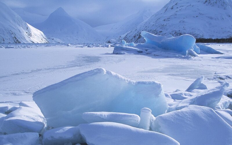 Frozen landscape with icebergs