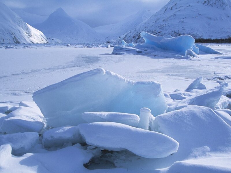 Frozen landscape with icebergs