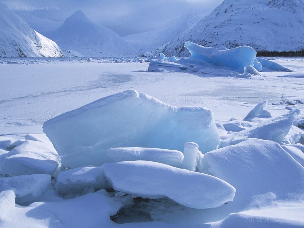 Frozen landscape with icebergs
