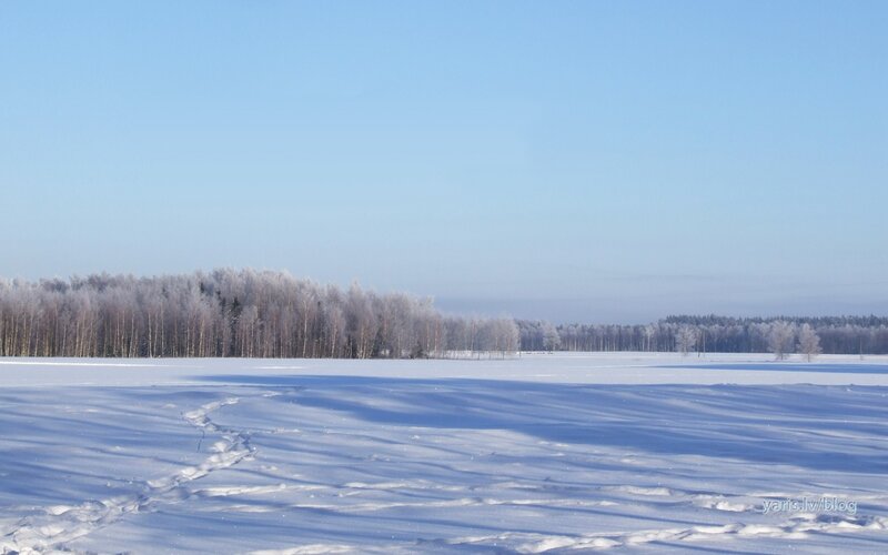 frozen landscape with snow and trees