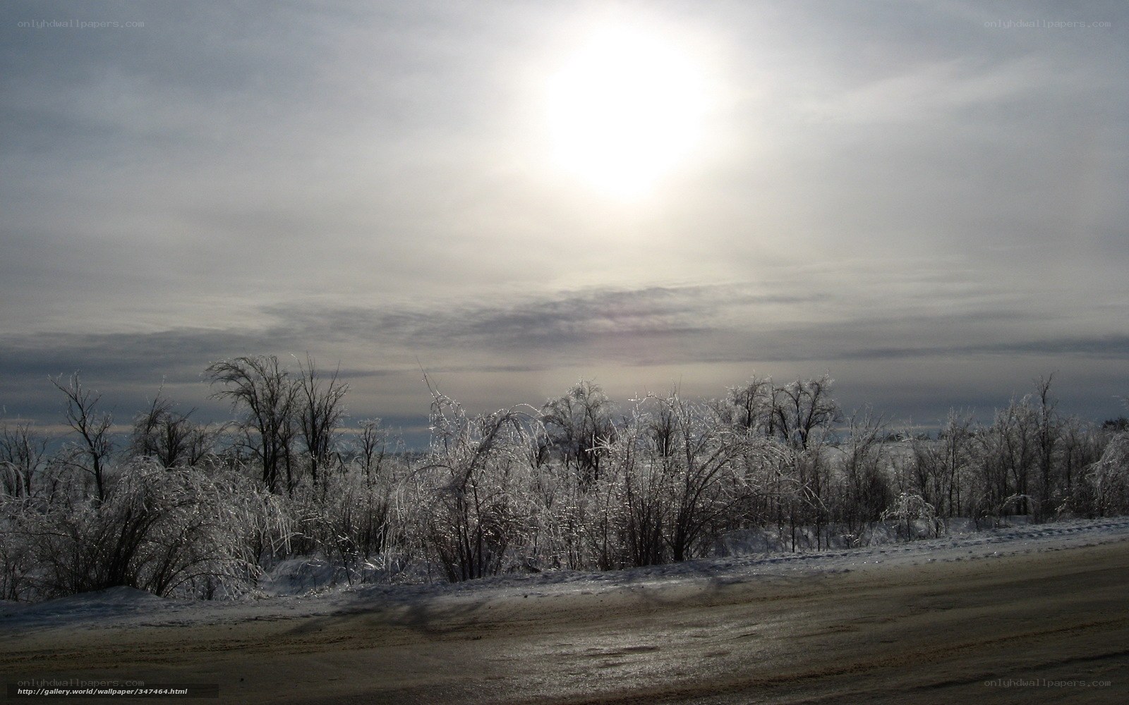 frozen landscape with sun