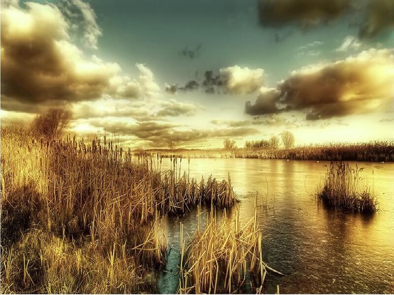 Frozen Marsh at Sunset — Gold