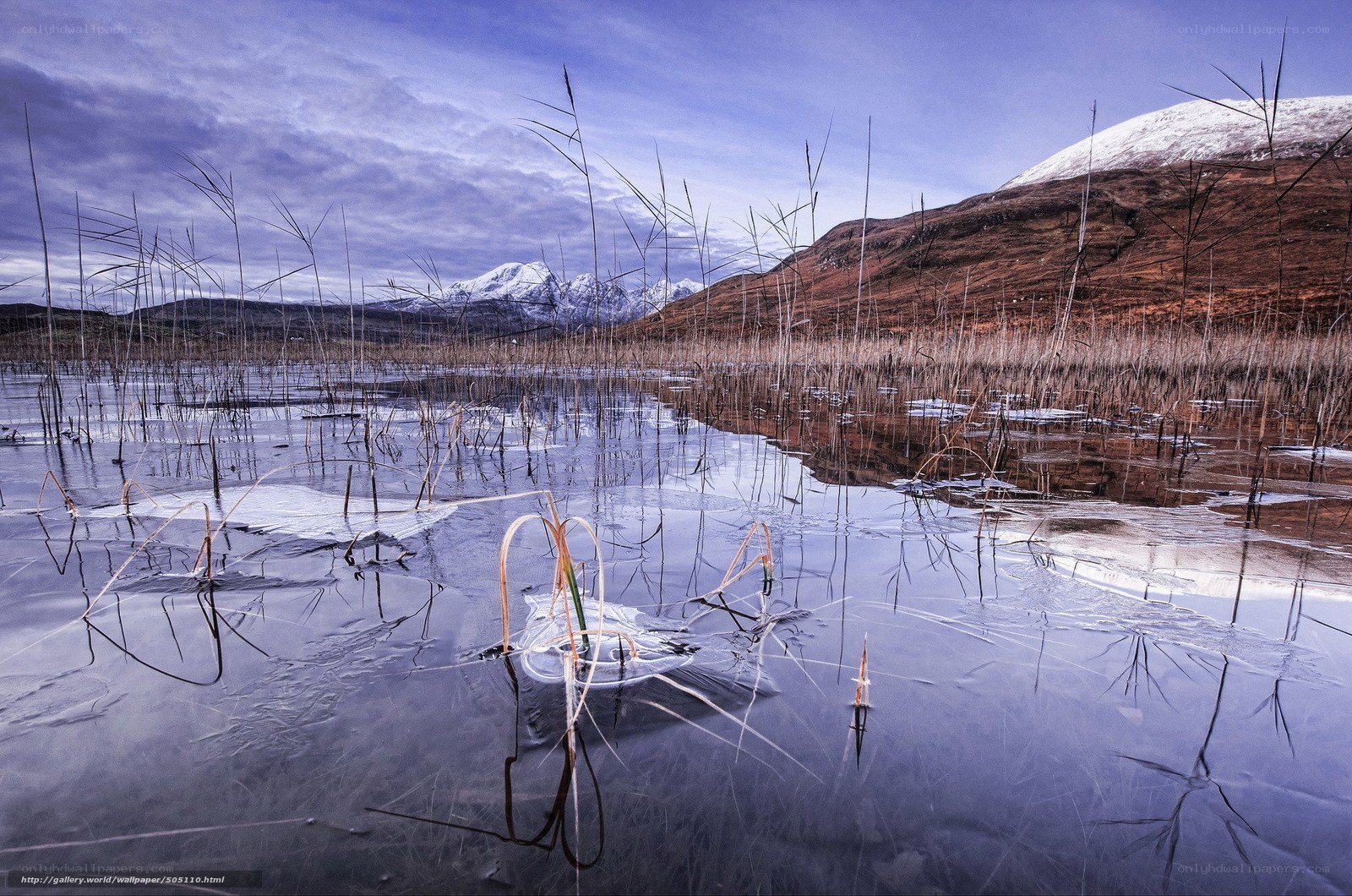 Frozen marsh with snow-capped mountains