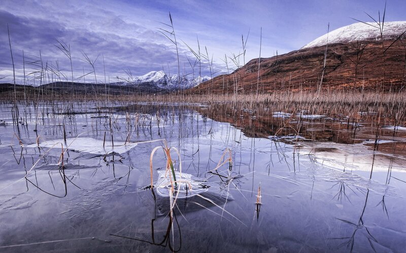 Frozen marsh with snow-capped mountains