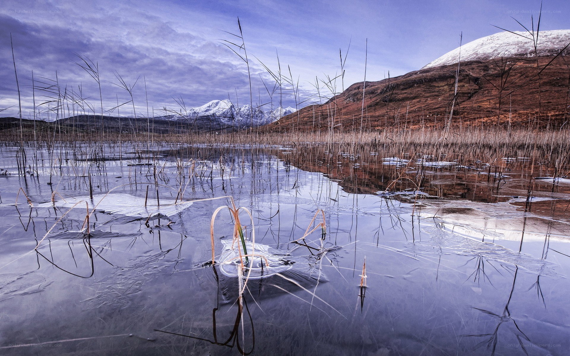 Frozen marsh with snow-capped mountains