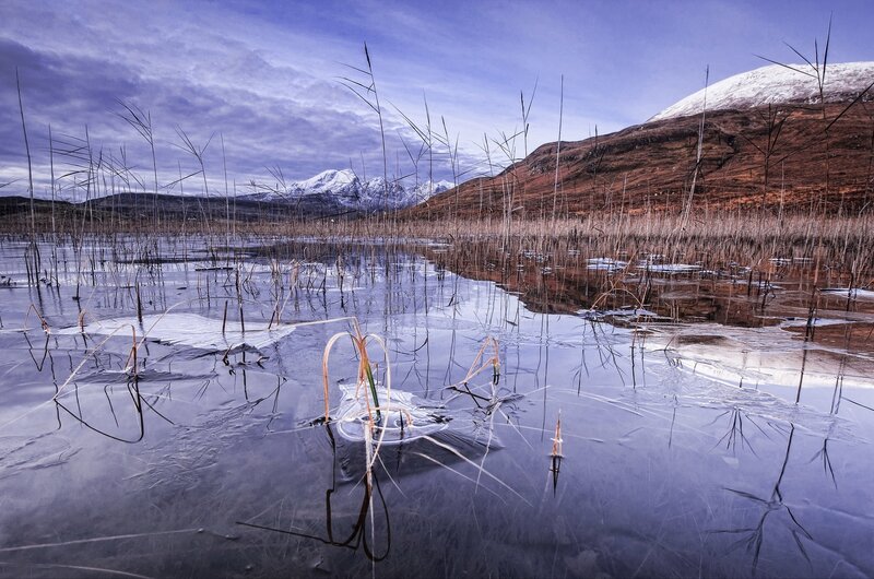 Frozen marsh with snow-capped mountains